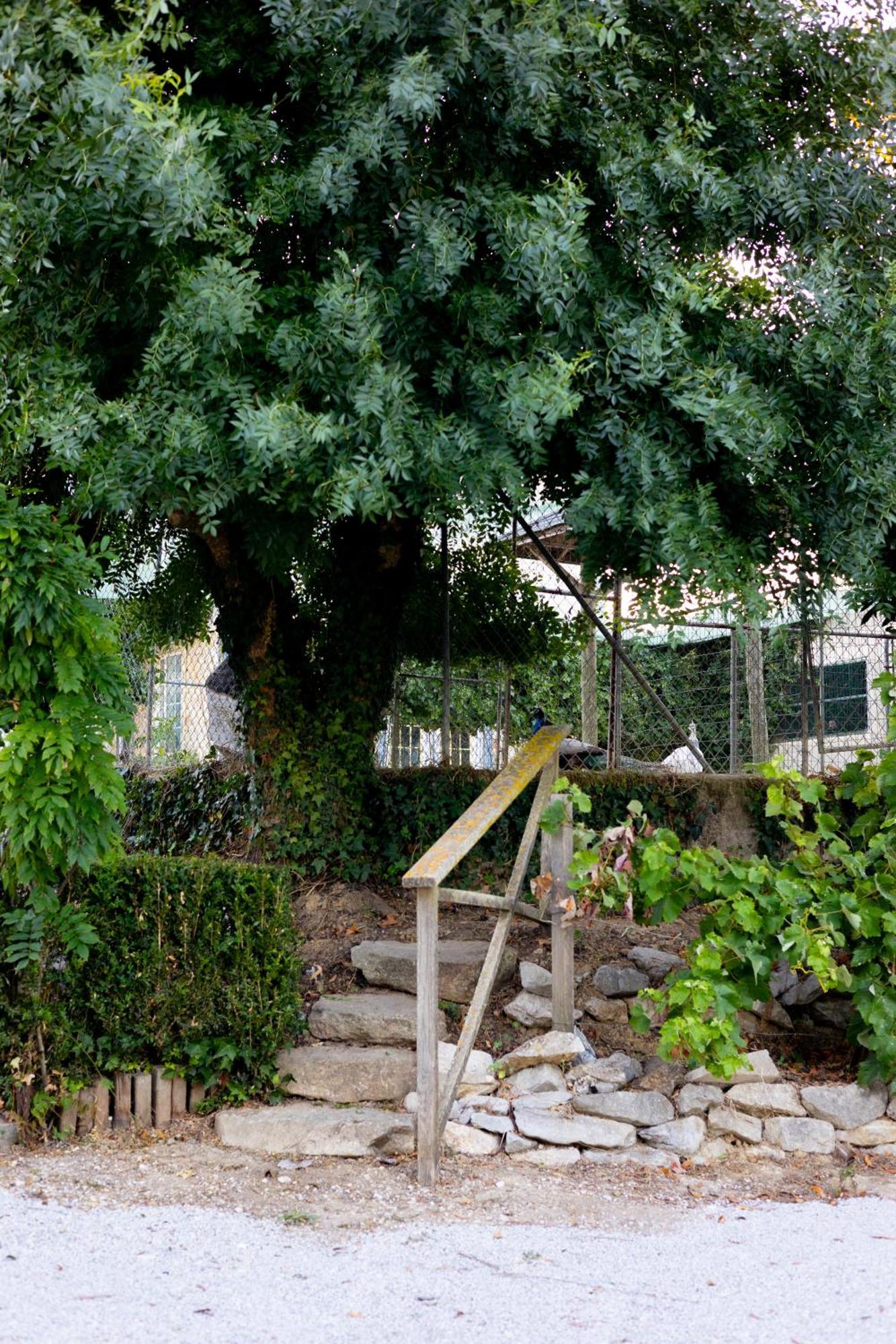 Kabaceira Village Atalaia  Buitenkant foto